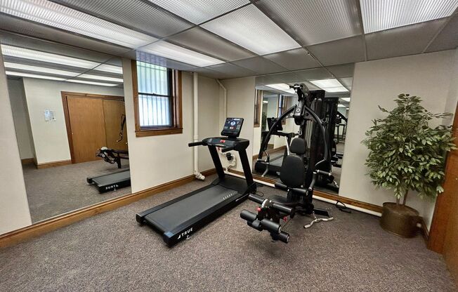 Studio, 1 bath, 320 sqft, $1,395, Unit 225-309