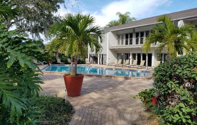 a swimming pool with palm trees in front of a house