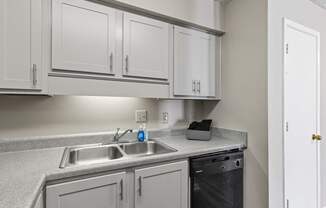A kitchen with a sink, dishwasher, and cabinets.