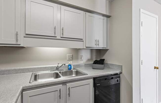 A kitchen with a sink, dishwasher, and cabinets.