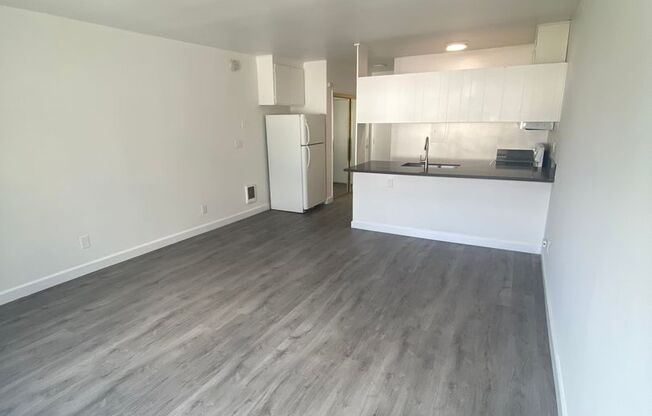 Studio, 1 bath, 390 sqft, $1,875, Unit 306