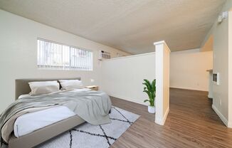 Studio, 1 bath, 500 sqft, $1,995