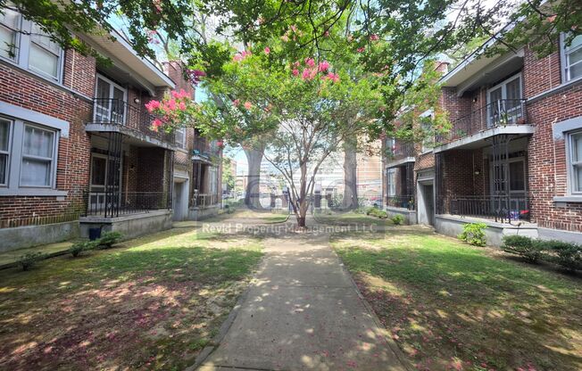 220 S. Cleveland St