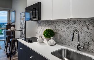 Studio, 1 bath, 316 sqft, $1,450, Unit 308