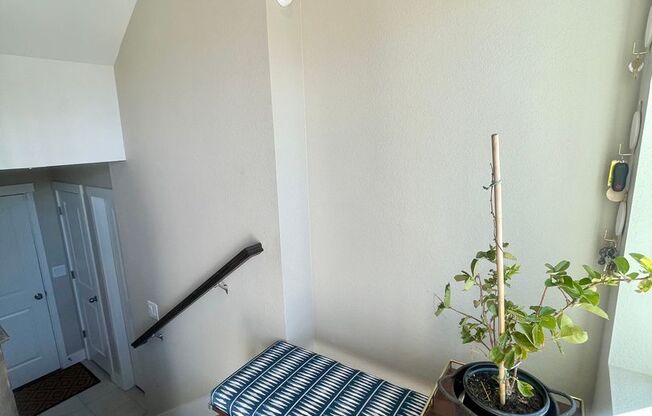 Wolf Ranch 3 Bedroom home