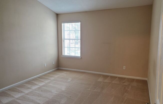1 bed, 1 bath, $1,300, Unit #910