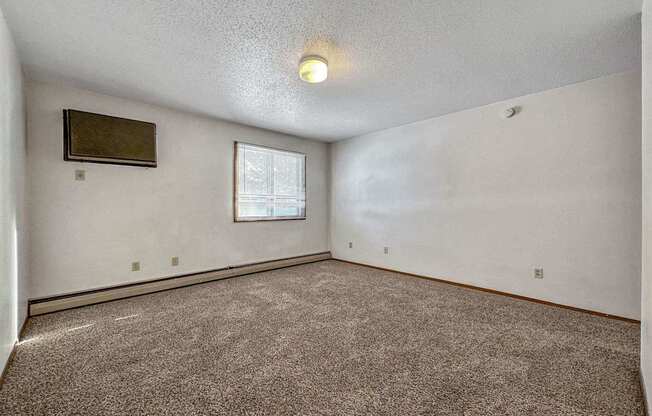an empty living room with carpet and a window
