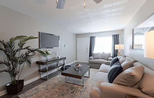 A living room with a couch, a television, and a potted plant.