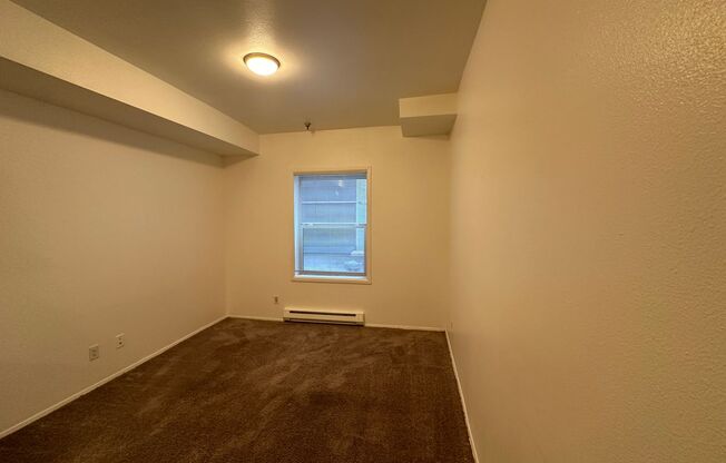 Studio, 1 bath, 315 sqft, $1,100