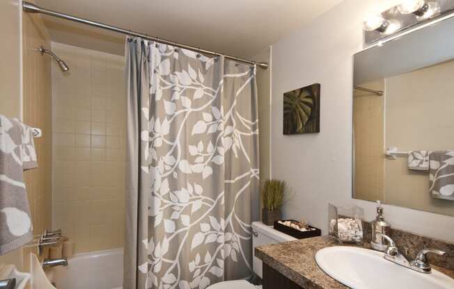 Bathroom  Willowbrook Tampa Florida