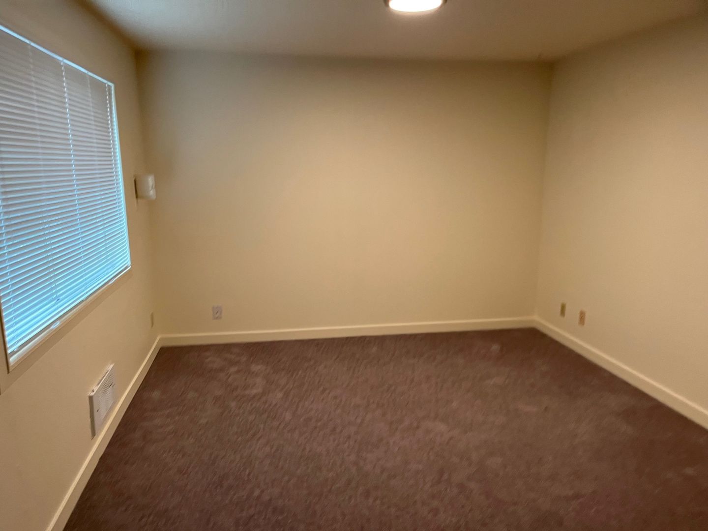 Twin Firs - 1 Bedroom - Lynnwood - Renovated Modern Apartments