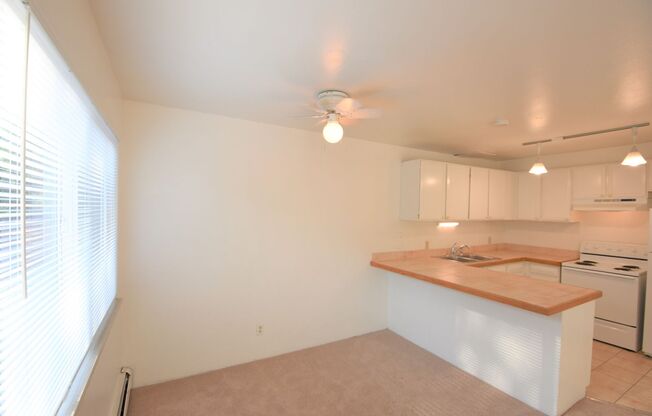 2030 Spruce St.