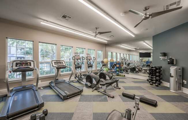 Harbor Cove Apartments Fitness Centerclave at university heights