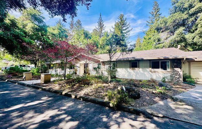 Saratoga Beauty!! Private, tranquil setting you will love! Top Schools! Walk to downtown!