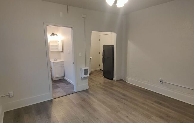 Studio, 1 bath, 306 sqft, $1,295, Unit 100