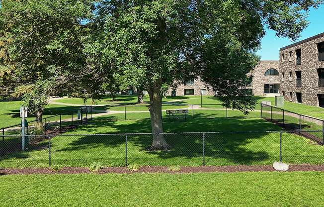 A tree in a grassy area with a building in the background.