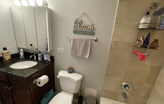 1 bed, 1 bath, 700 sqft, $1,900, Unit 418-0709
