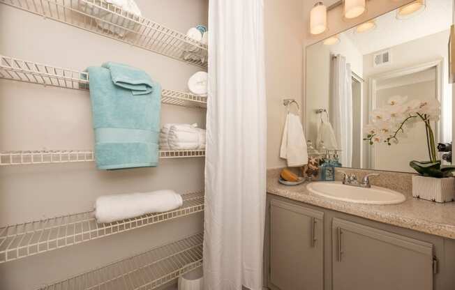 a bathroom with a sink and a mirror and a shower