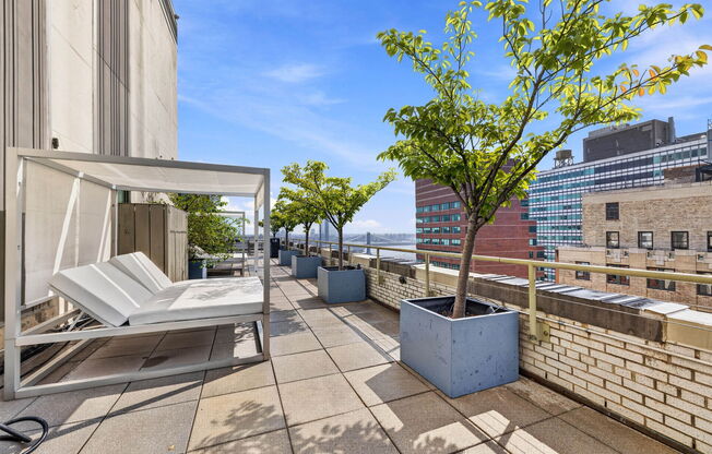 Studio, 1 bath, $3,780, Unit 801