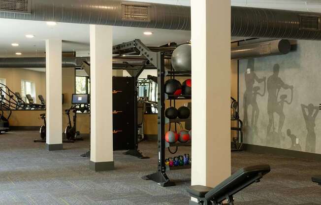 A gym with a variety of equipment including weights and exercise machines.