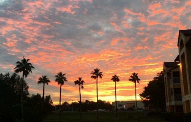 8939-1205 Latrec Ave., Orlando. 1 bedroom 1 bath