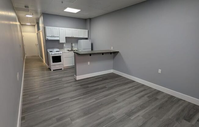 1 bed, 1 bath, 450 sqft, $850, Unit 304