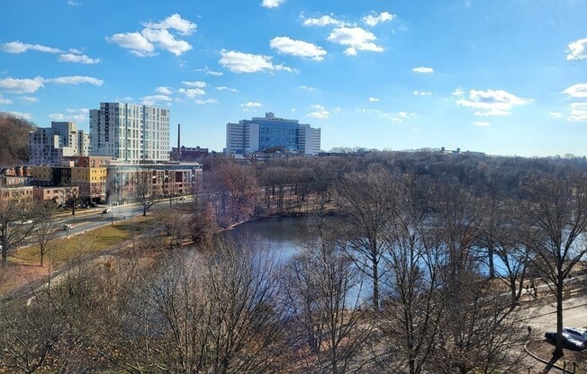 1 bed, 1 bath, 870 sqft, $3,200, Unit 915