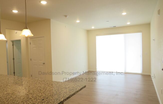 Beautiful Newer Condo in Briargate Area