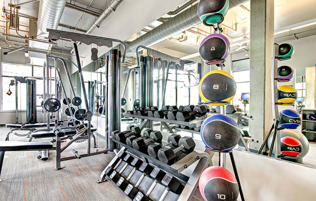free weights at Link + Mural, Washington