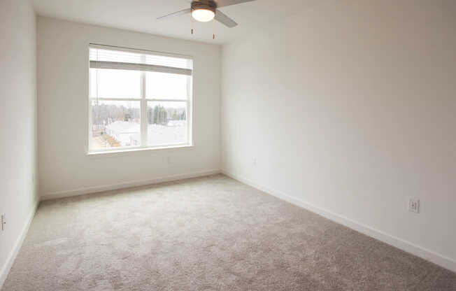 Carpeted Bedroom