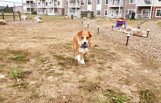 1 bed, 1 bath, 803 sqft, $1,425, Unit 3308