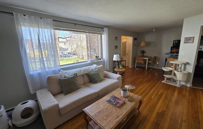 1 Bed - Natural Lighting - In-Unit Laundry - Off-Street Parking