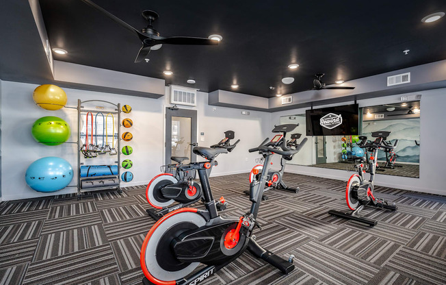 A gym with stationary bikes and exercise balls.