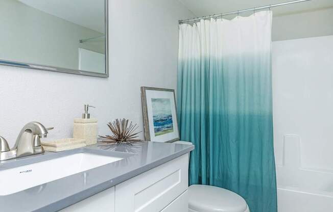 A bathroom with a white sink, a white toilet, a white countertop, a white mirror, a white shower curtain, and a picture frame.