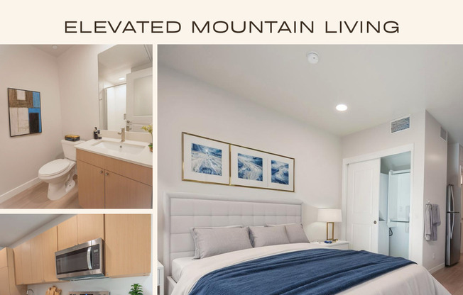 Studio, 1 bath, 300 sqft, $1,399, Unit 1-213