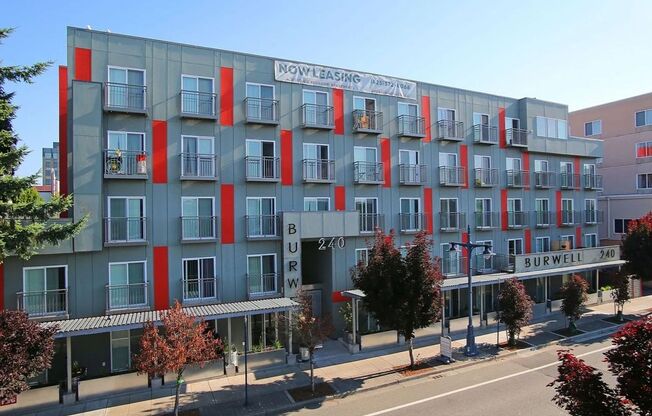 Studio, 1 bath, 301 sqft, $1,396, Unit 207 - MFTE (Low)