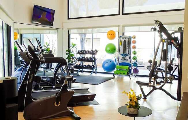 A gym with a row of treadmills and a row of exercise bikes.