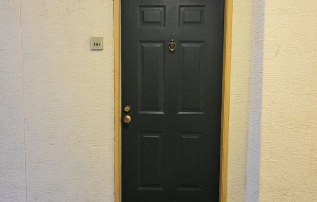 1B/1B Plus a Den! Ground Floor Unit - Pinnacle at Carrollwood! AVAILABLE NOW!