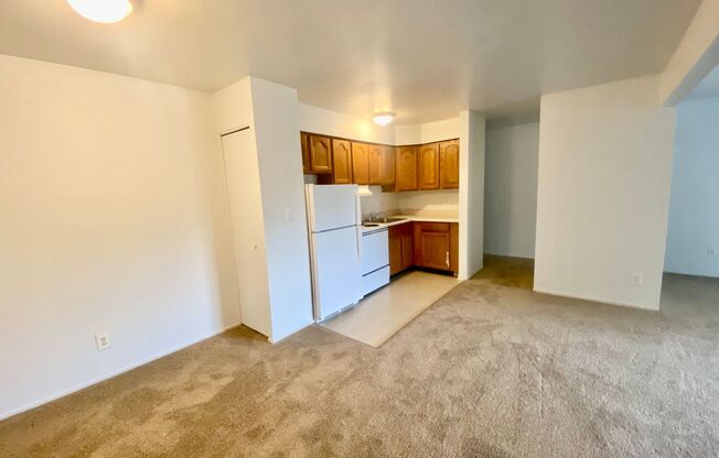 2 beds, 1 bath, 1,000 sqft, $1,295, Unit #12