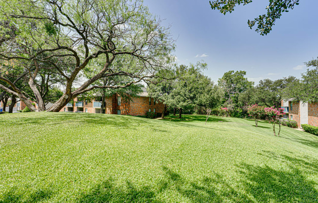 Lush Green Outdoors at Southern Oaks, Fort Worth, TX