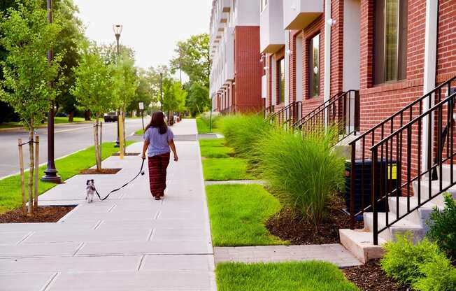 View in front of The Lofts at Middlesex in Middlesex NJ of someone walking their dog