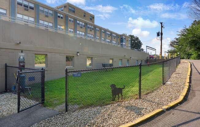 a dog standing behind a fence in front of a building