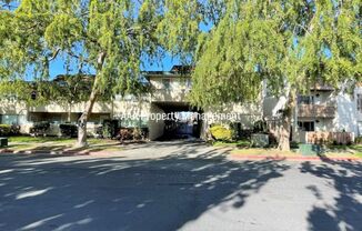 Concord Beautiful remodeled 1 bedroom 1 bath condo! Central location