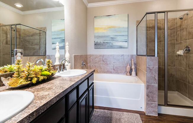 Walk-In Showers And Garden Tubs at Villages of Briggs Ranch, San Antonio, TX