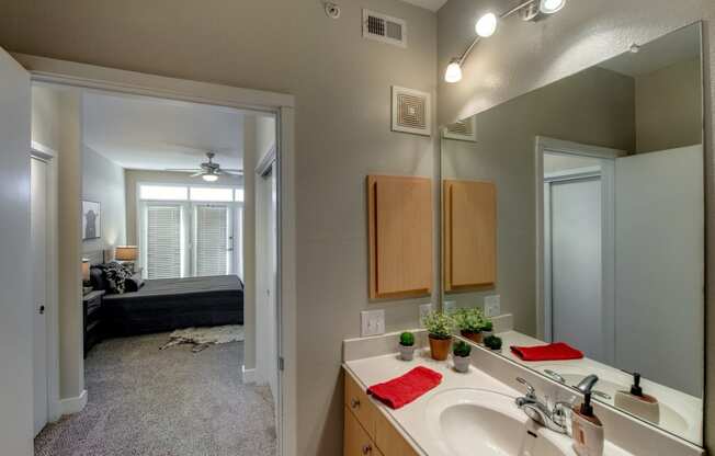 fort worth 1 bedroom apartments for rent with spacious guest bathrooms