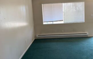 1 bed, 1 bath, $800