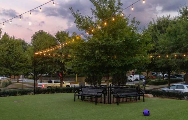 a park with benches and strings of lights