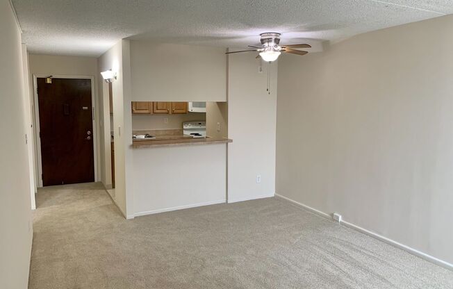 1 bed, 1 bath, 550 sqft, $945, Unit 310B