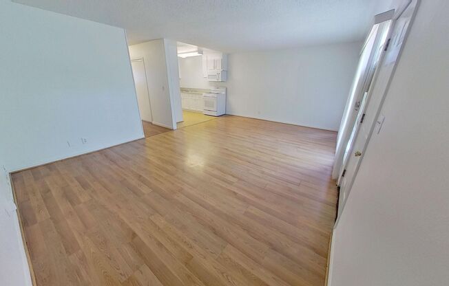 13161 Adland