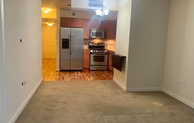 Cosmopolitan Condominiums ~ Downtown/South Lake Union